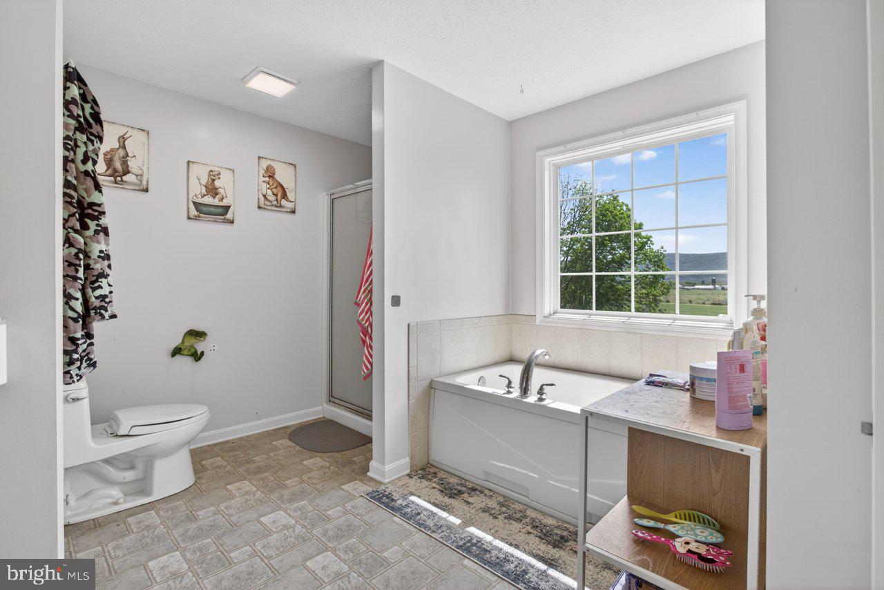 8570 South Middle Road Mount Jackson, VA 22842 - Photo 47 of 74