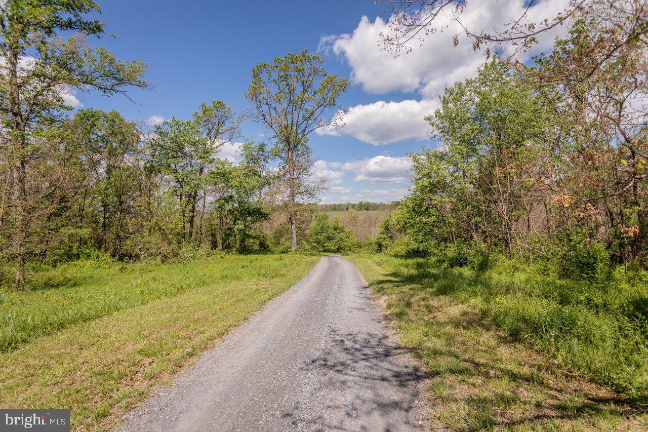 8570 South Middle Road Mount Jackson, VA 22842 - Photo 50 of 74