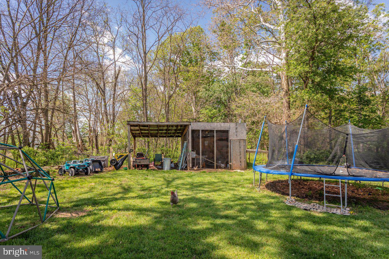 8570 South Middle Road Mount Jackson, VA 22842 - Photo 53 of 74