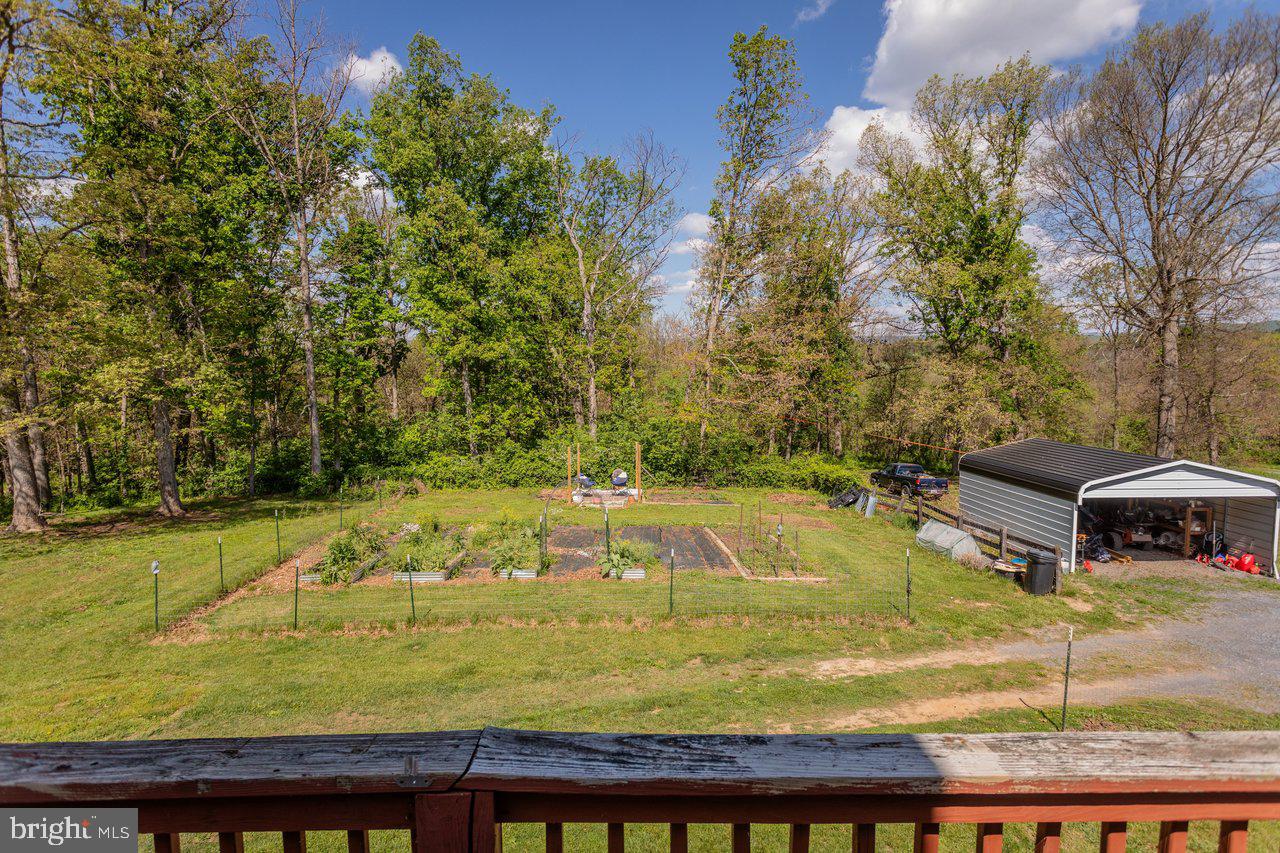 8570 South Middle Road Mount Jackson, VA 22842 - Photo 54 of 74