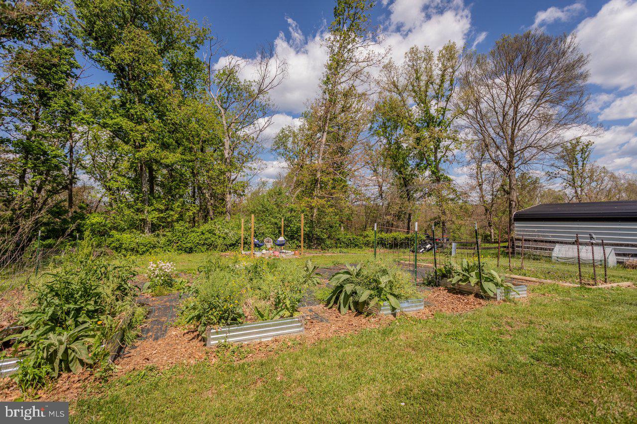 8570 South Middle Road Mount Jackson, VA 22842 - Photo 55 of 74