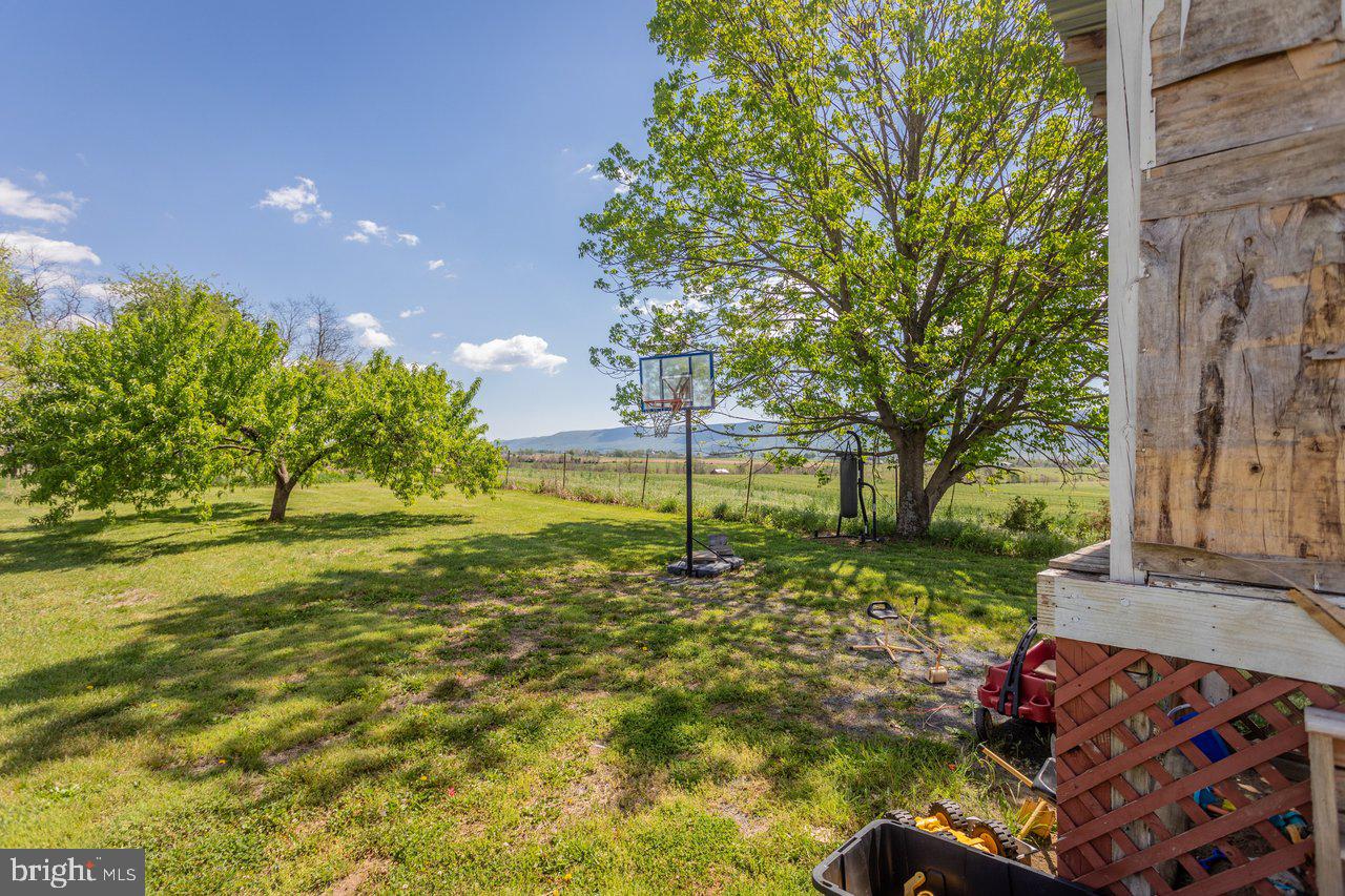 8570 South Middle Road Mount Jackson, VA 22842 - Photo 57 of 74
