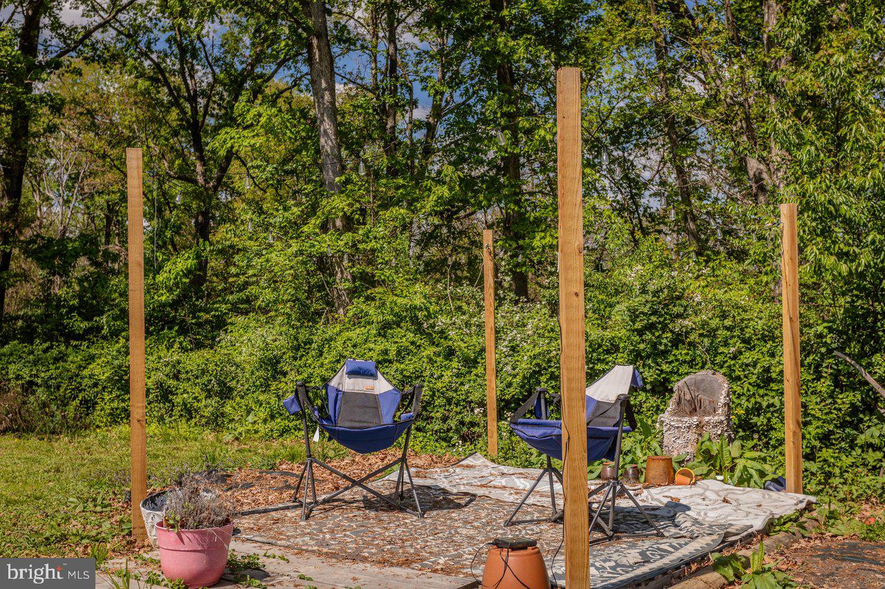 8570 South Middle Road Mount Jackson, VA 22842 - Photo 58 of 74