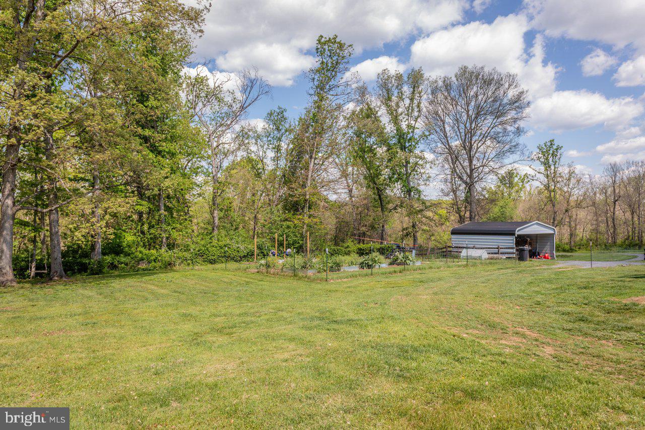 8570 South Middle Road Mount Jackson, VA 22842 - Photo 59 of 74