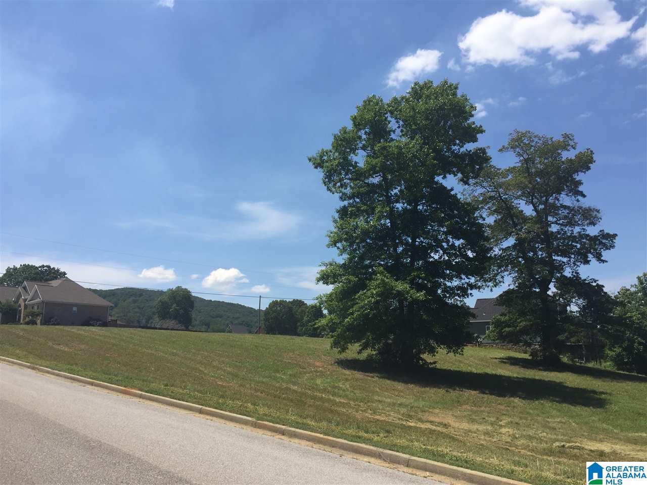 0 Mount Eagle Lane, Unit 1 Anniston, AL 36207 - Photo 5 of 19