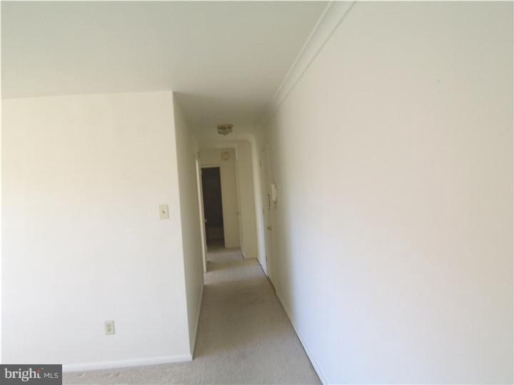 383 Lakeside Road, Unit 208 Ardmore, PA 19003 - Photo 3 of 14 Hallway