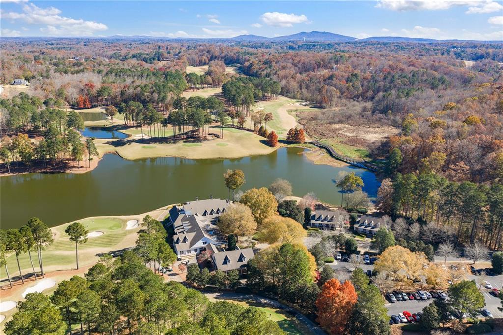 1002 Overlook Terrace Ball Ground, GA 30107 - Photo 94 of 100