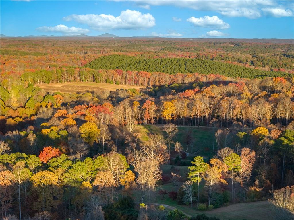 1002 Overlook Terrace Ball Ground, GA 30107 - Photo 96 of 100 a view of a city with mountains in the background