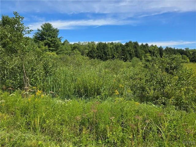 $17,900 | Hayes Road, Camden, NY 13316