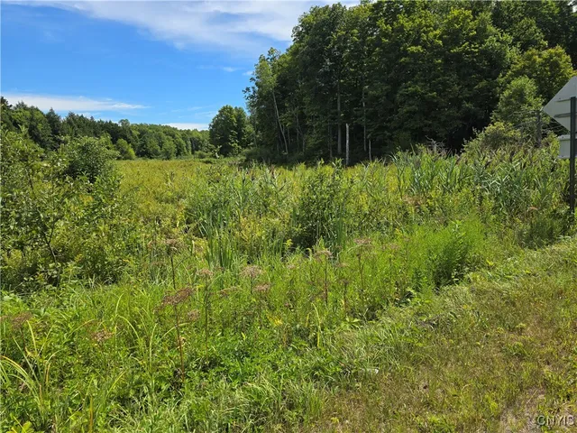 $17,900 | Hayes Road, Camden, NY 13316