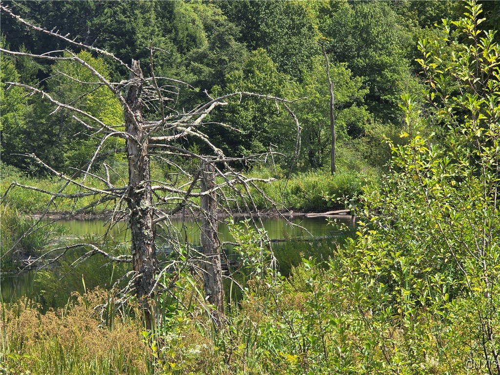 Hayes Road Camden, NY 13316 - Photo 5 of 6