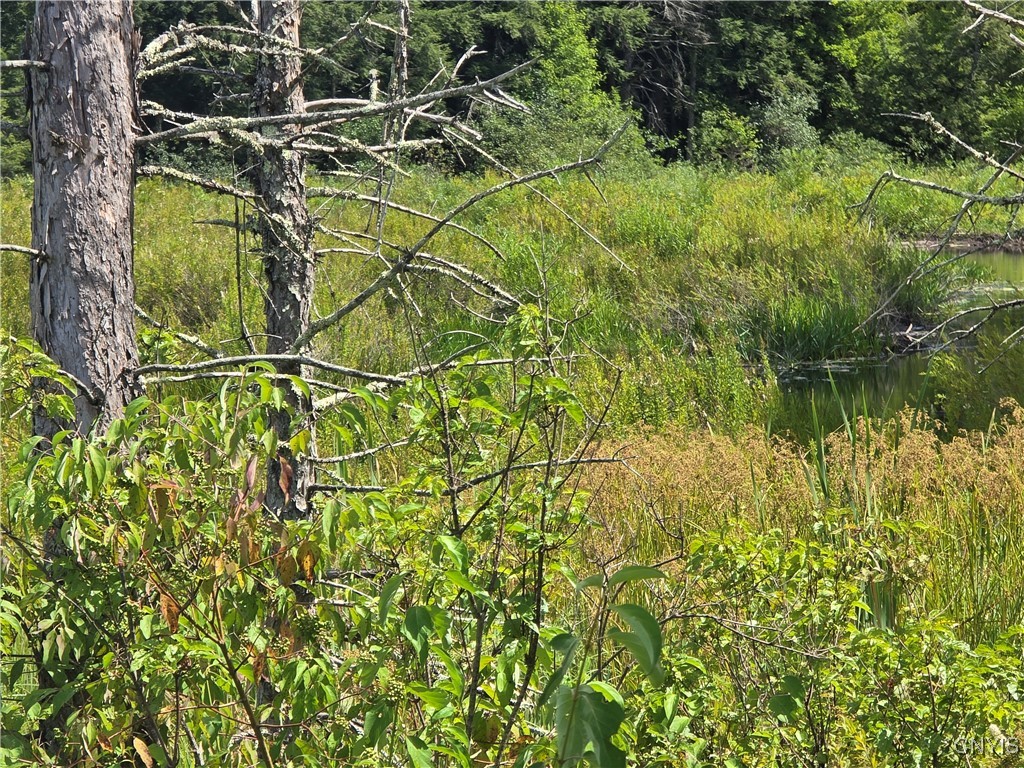 Hayes Road Camden, NY 13316 - Photo 6 of 6