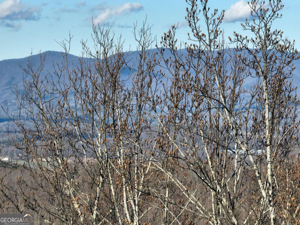 281 Andes Ridge Talking Rock, GA 30175 - Photo 11 of 27 a view of a backyard of the house