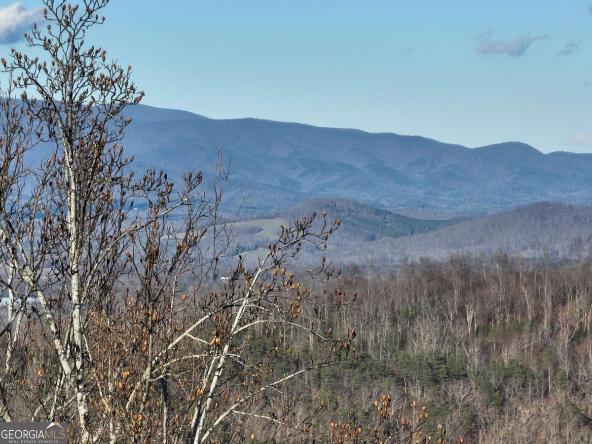 281 Andes Ridge Talking Rock, GA 30175 - Photo 12 of 27 a view of a mountain in the distance in a field
