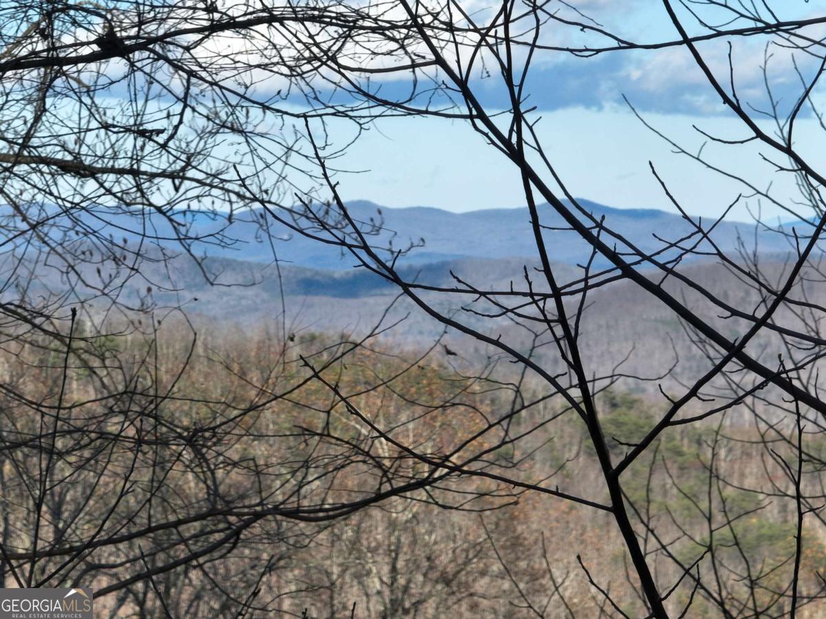281 Andes Ridge Talking Rock, GA 30175 - Photo 16 of 27 a picture of tree