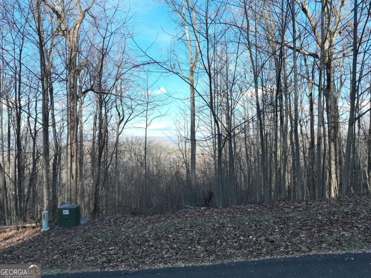 281 Andes Ridge Talking Rock, GA 30175 - Photo 17 of 27 a view of backyard with tree