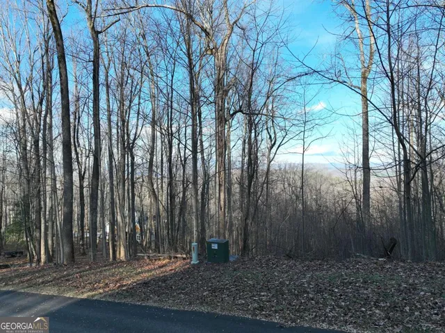 a view of outdoor space with deck