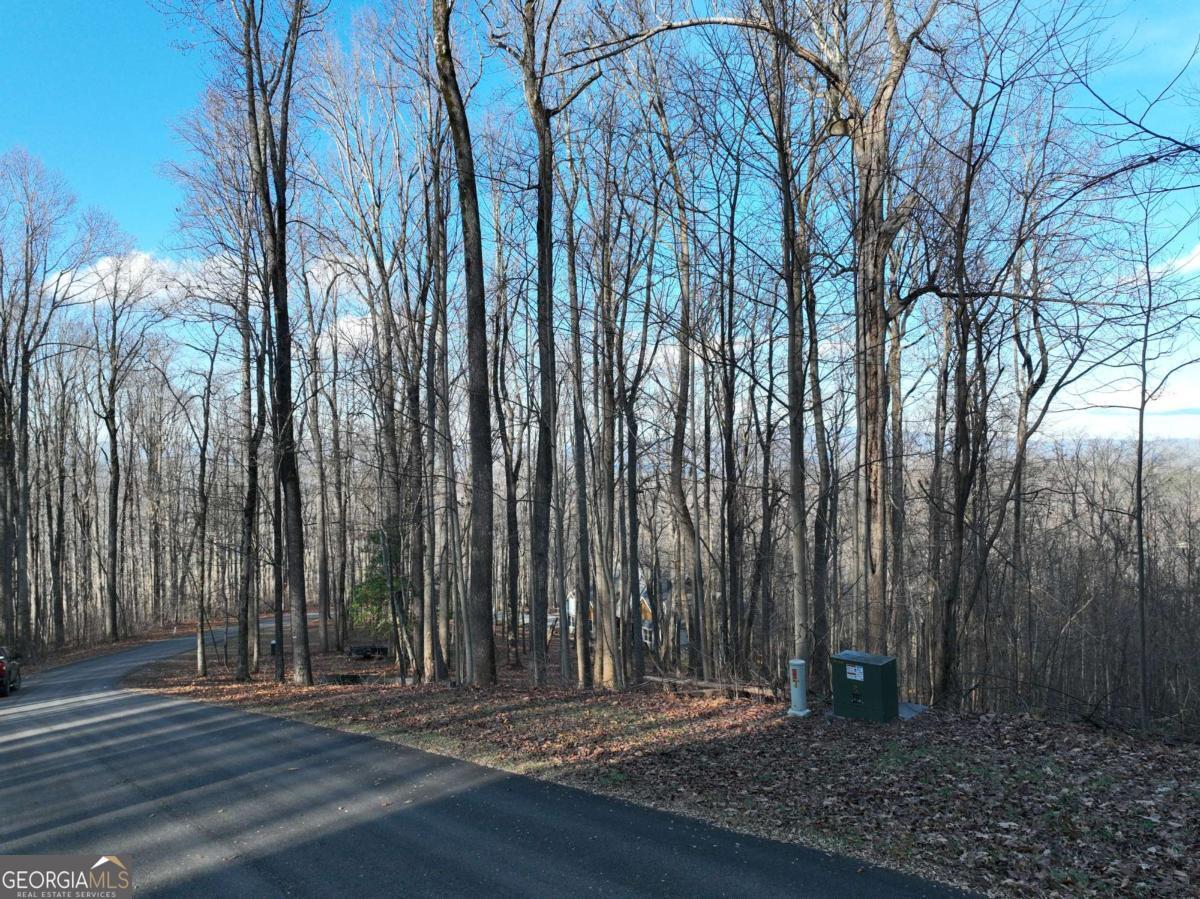 281 Andes Ridge Talking Rock, GA 30175 - Photo 19 of 27 a view of outdoor space with deck