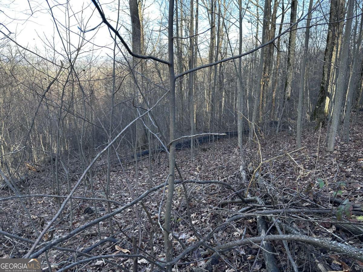 281 Andes Ridge Talking Rock, GA 30175 - Photo 20 of 27 a backyard of a house with lots of green space