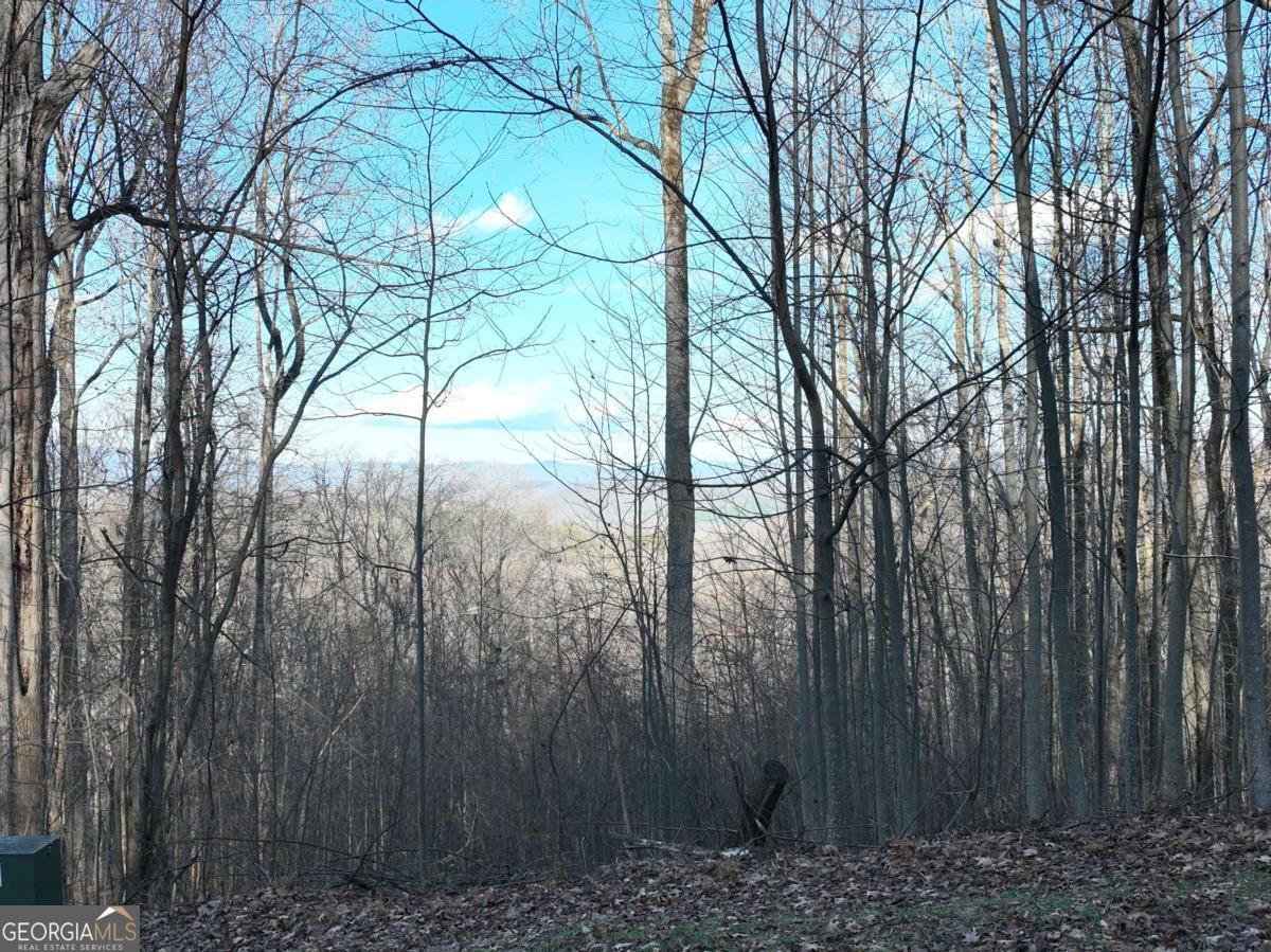281 Andes Ridge Talking Rock, GA 30175 - Photo 2 of 27 a backyard of a house with lots of green space
