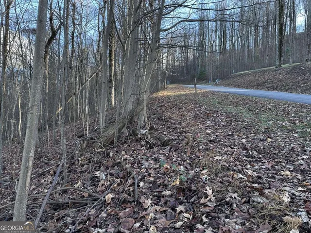 view of a black and white photo