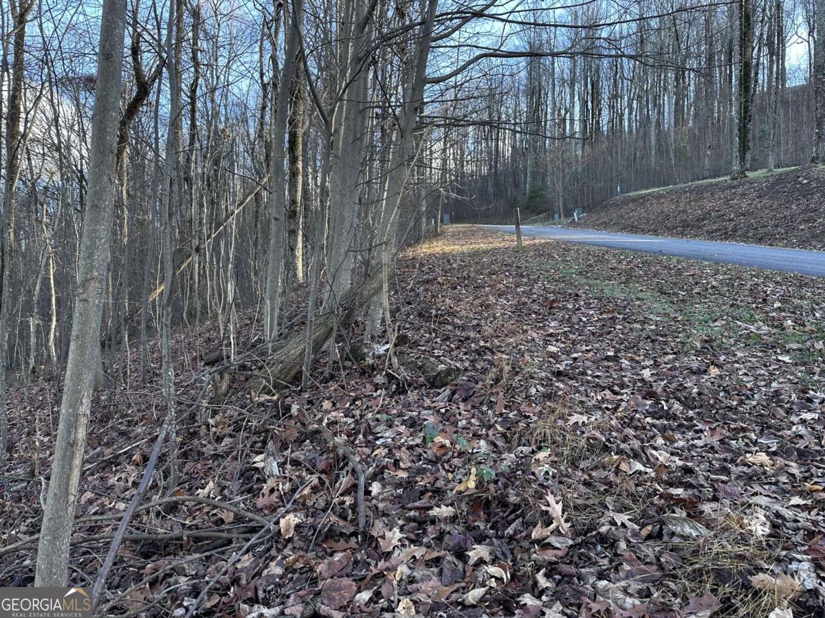 281 Andes Ridge Talking Rock, GA 30175 - Photo 23 of 27 a backyard of a house