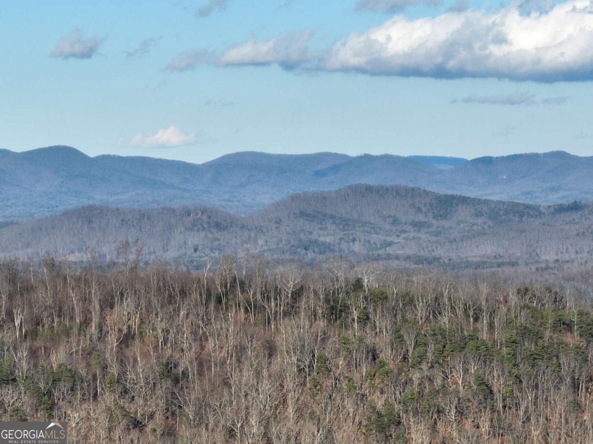 281 Andes Ridge Talking Rock, GA 30175 - Photo 4 of 27 a view of a dry forest