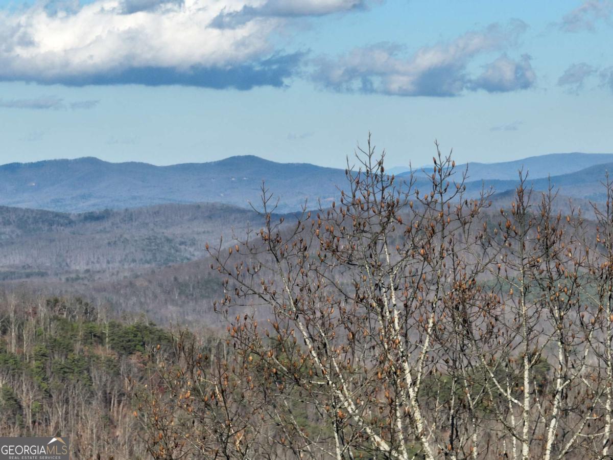 281 Andes Ridge Talking Rock, GA 30175 - Photo 5 of 27
