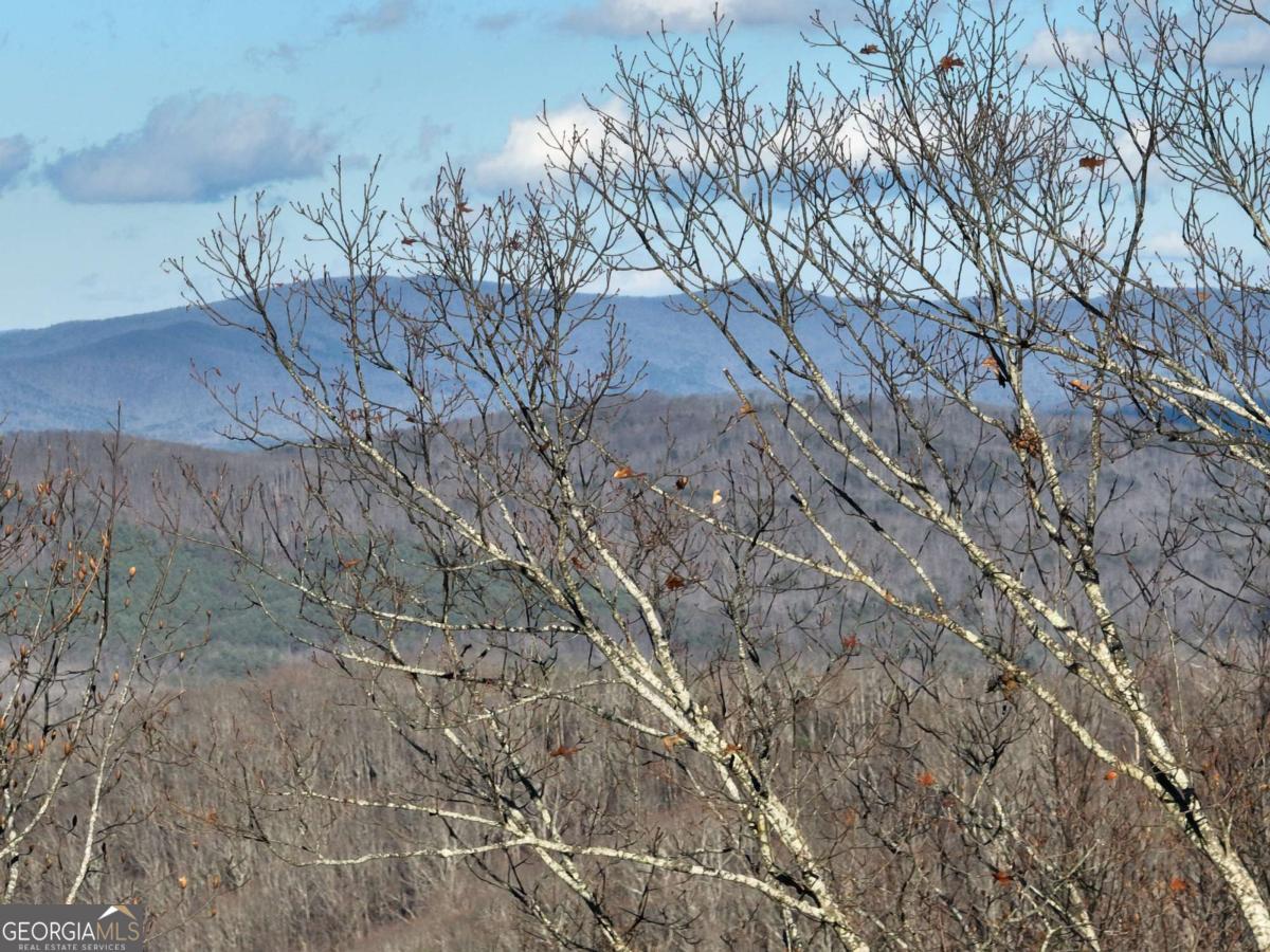 281 Andes Ridge Talking Rock, GA 30175 - Photo 6 of 27 a view of a yard