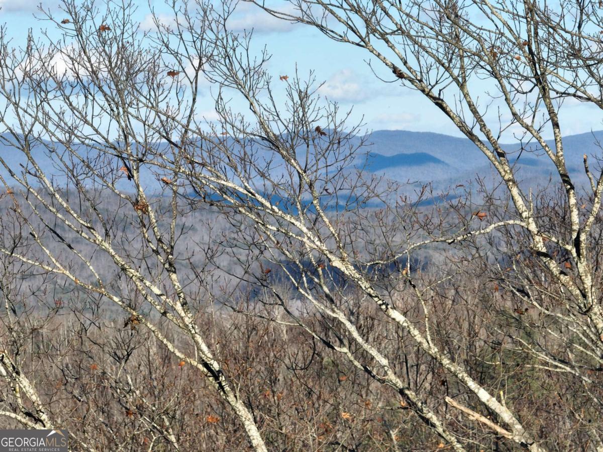 281 Andes Ridge Talking Rock, GA 30175 - Photo 7 of 27 a view of a forest with a tree