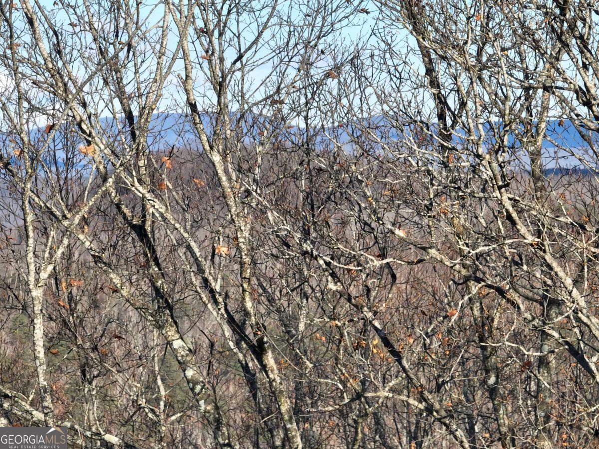 281 Andes Ridge Talking Rock, GA 30175 - Photo 8 of 27 a view of a yard