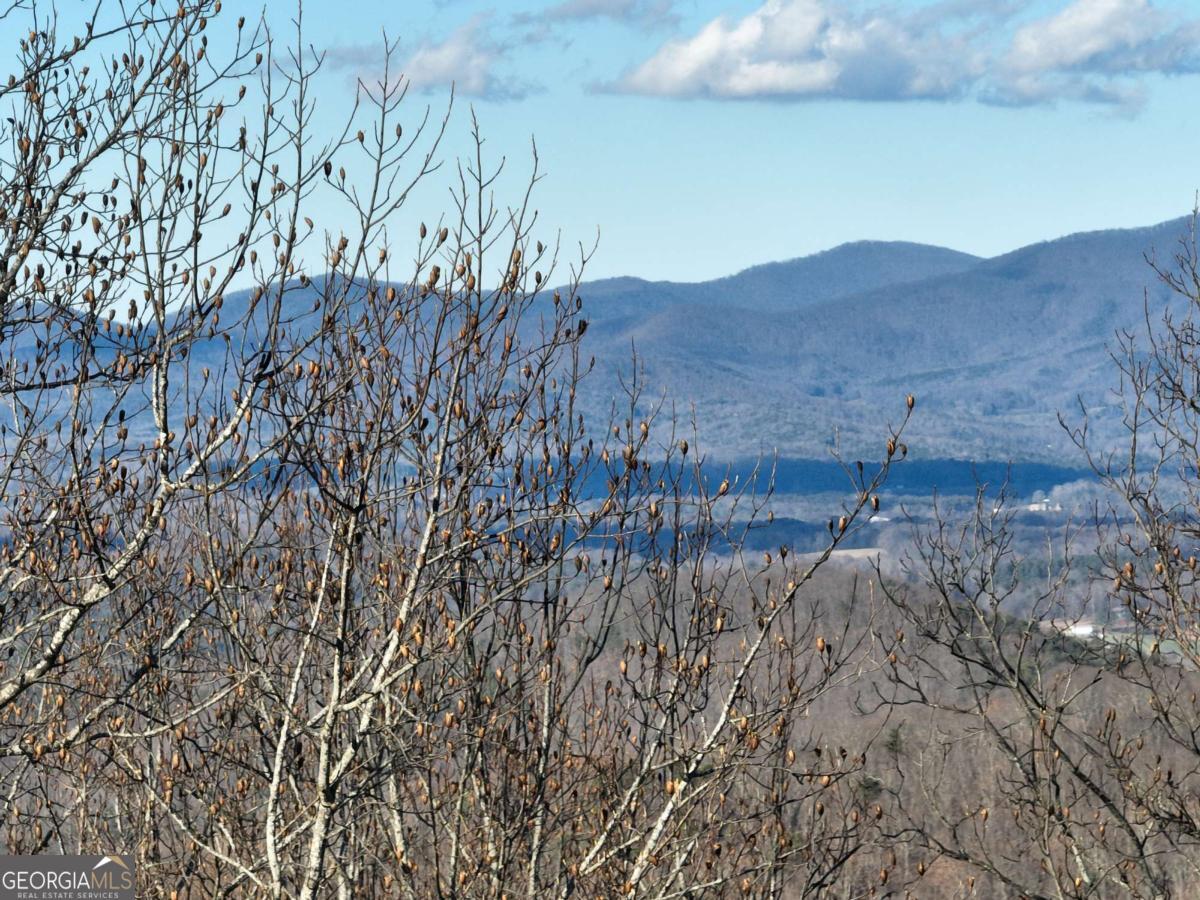 281 Andes Ridge Talking Rock, GA 30175 - Photo 10 of 27 a view of a dry in the mountains