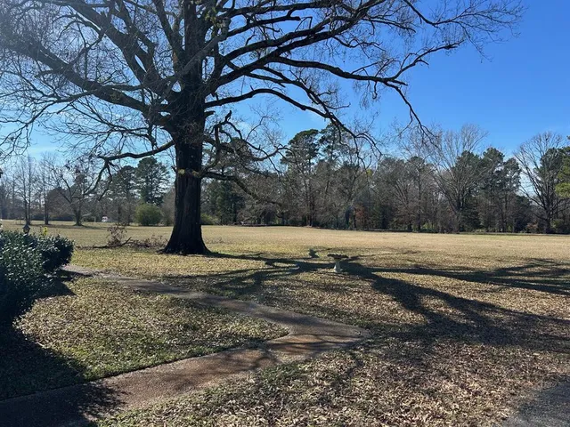 a view of a yard with large trees