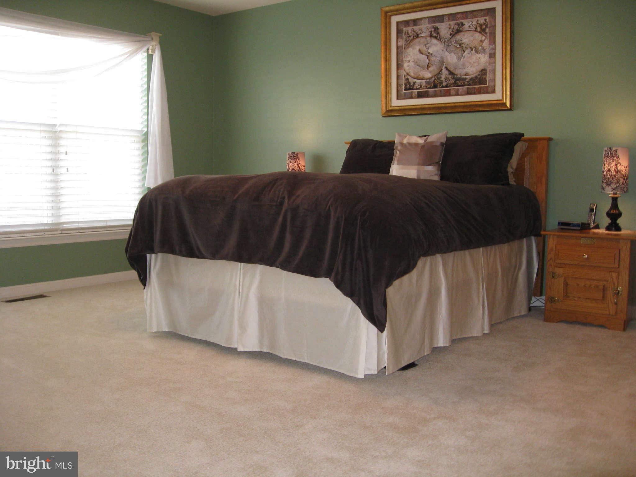 9004 Ribbon Falls Loop Bristow, VA 20136 - Photo 12 of 27 Bedroom (Master)