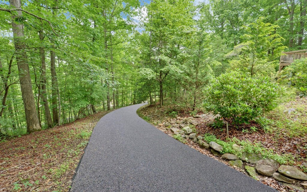 475 Hamilton Road Blairsville, GA 30512 - Photo 39 of 53