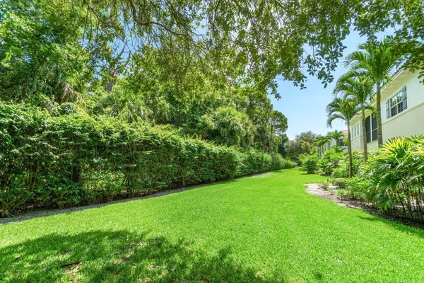 a view of a yard with a tree