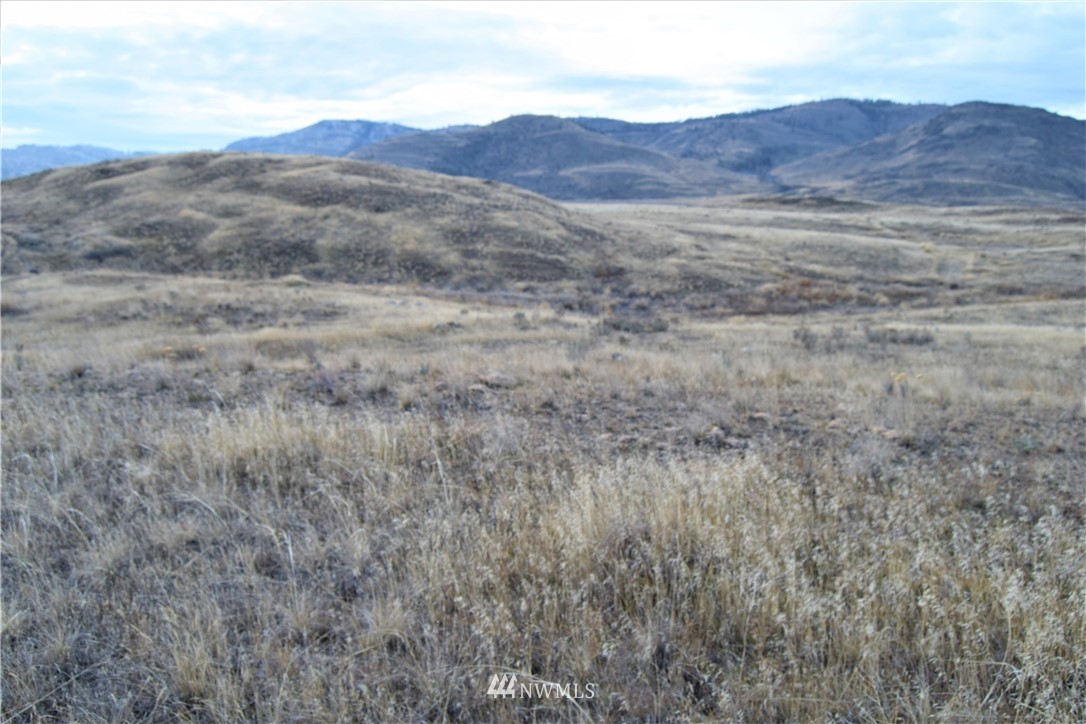 17 Grey Goose Road Omak, WA 98841 - Photo 3 of 10