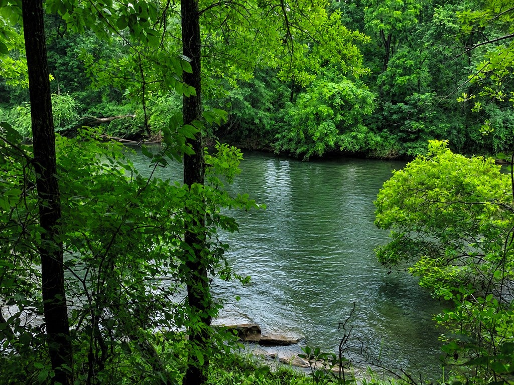 790 Free Bridge Road Ware Shoals, SC 29692 - Photo 2 of 15 Gallery Image 2