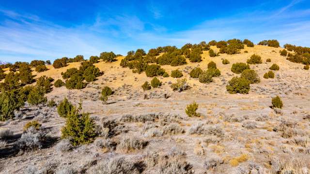 0 County Road 28 Levan, UT 84639 - Photo 61 of 207