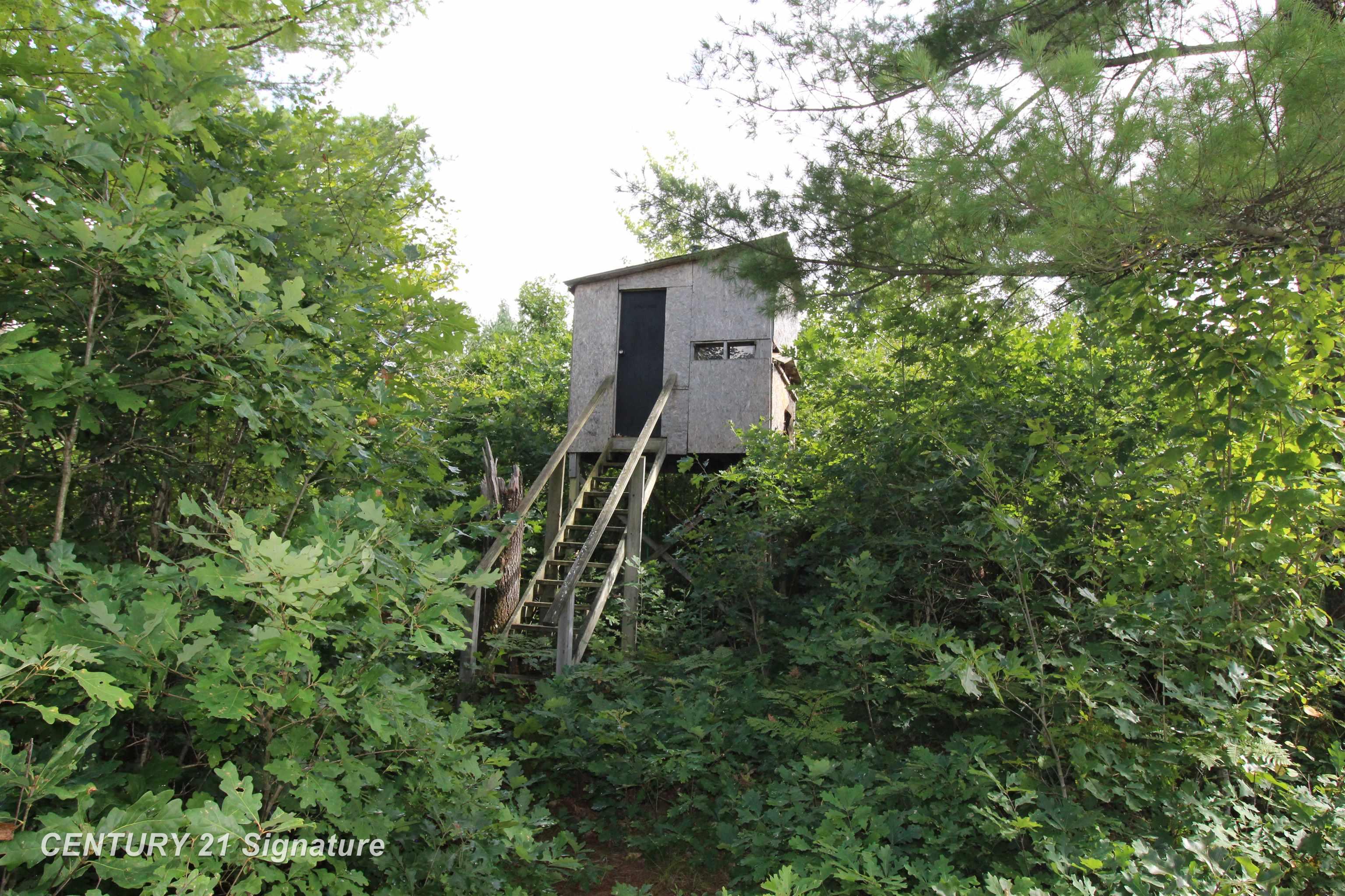 6595 Wickert Road Hale, MI 48739 - Photo 20 of 23 Deer Blind