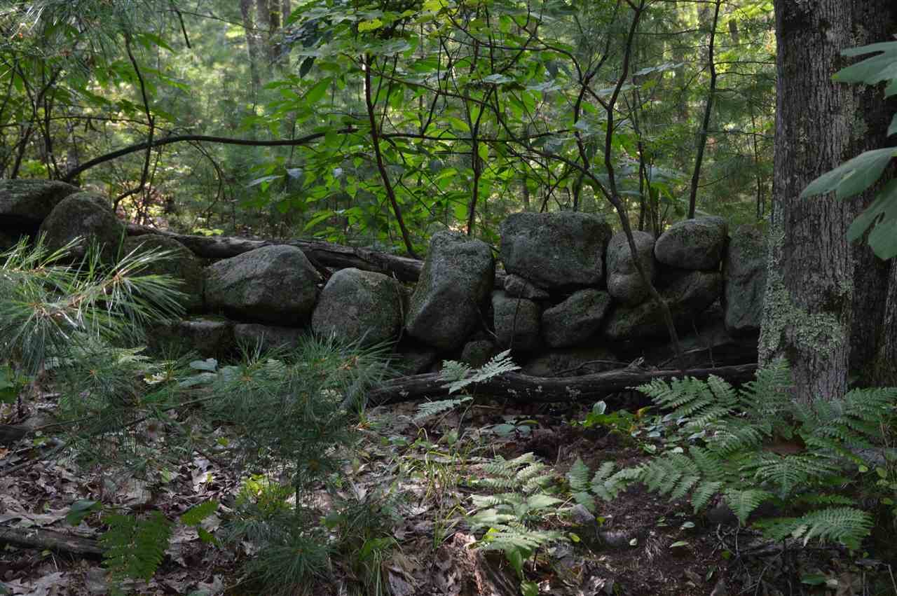 12 Old County Road Mason, NH 03048 - Photo 3 of 22