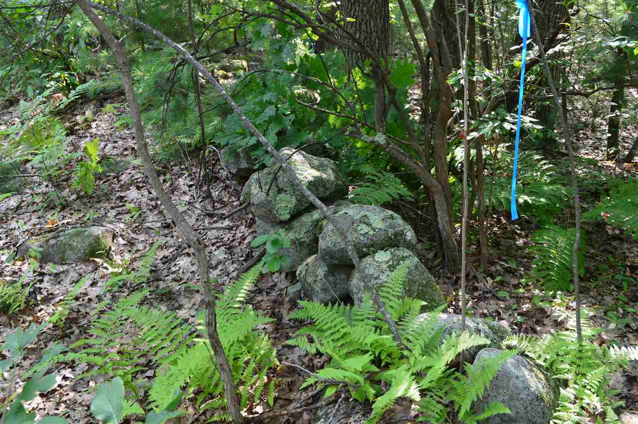 12 Old County Road Mason, NH 03048 - Photo 4 of 22