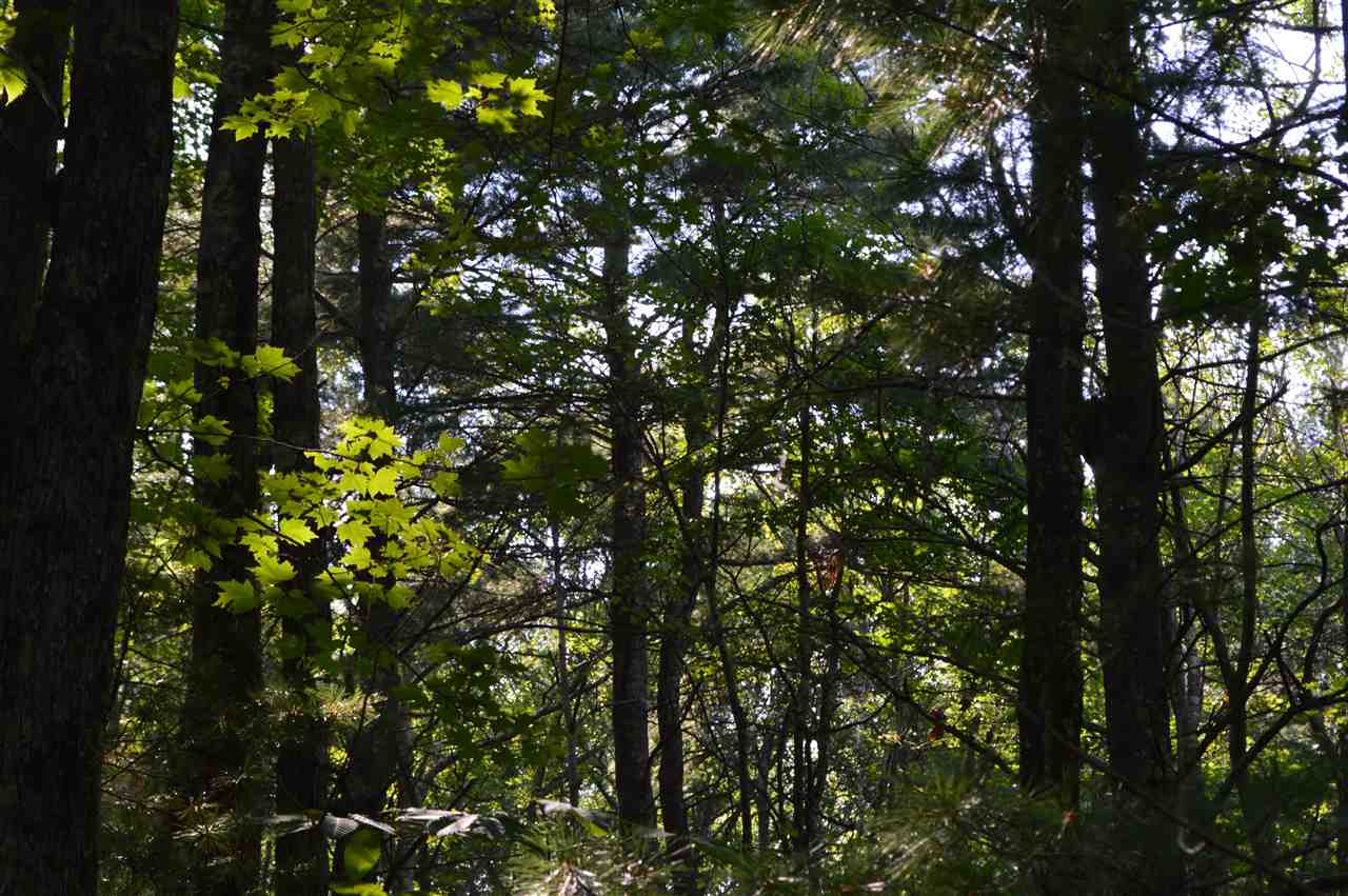 12 Old County Road Mason, NH 03048 - Photo 5 of 22