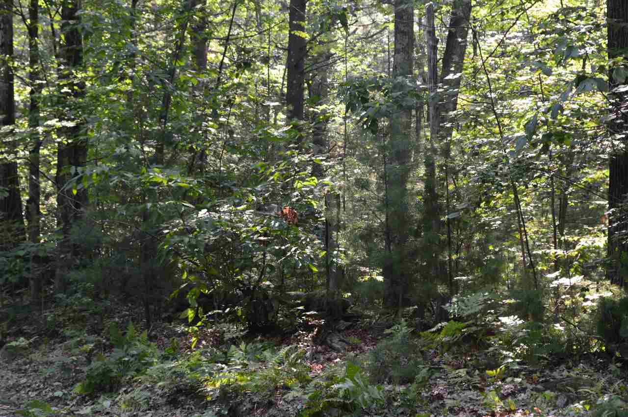 12 Old County Road Mason, NH 03048 - Photo 7 of 22