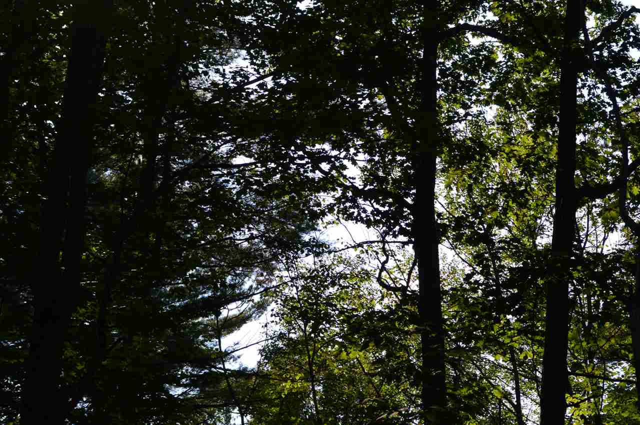 12 Old County Road Mason, NH 03048 - Photo 8 of 22
