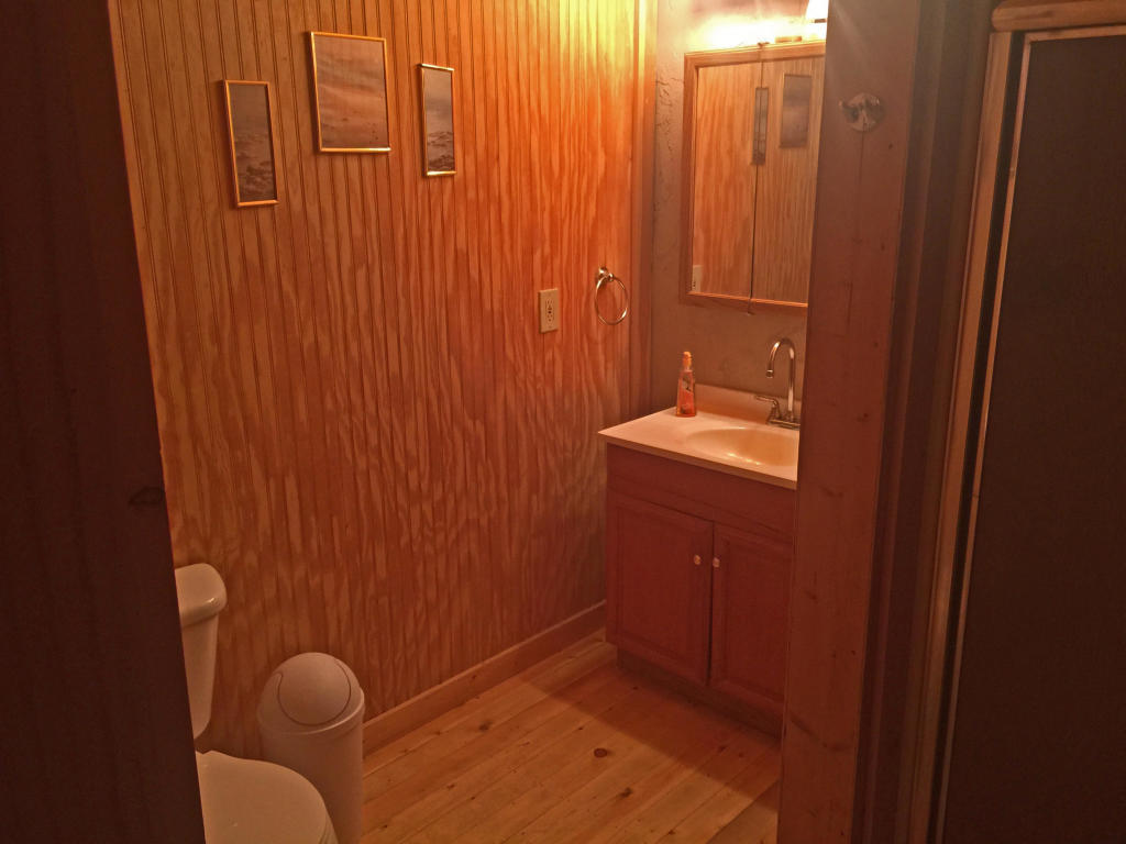 2102 Walt Price Road Sevierville, TN 37876 - Photo 11 of 15 2102 Walt Price downstairs master bath