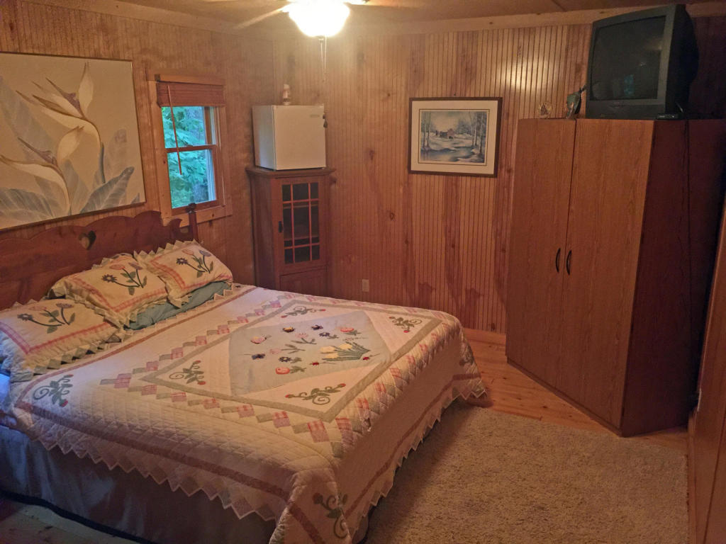 2102 Walt Price Road Sevierville, TN 37876 - Photo 9 of 15 2102 Walt Price downstairs master BR