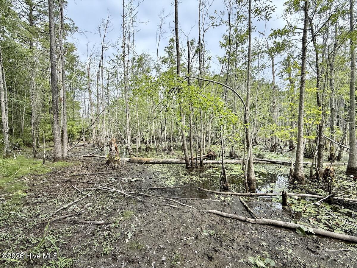 5930 Titan Roberts Road Erwin, NC 28339 - Photo 15 of 39 Gallery Image 15