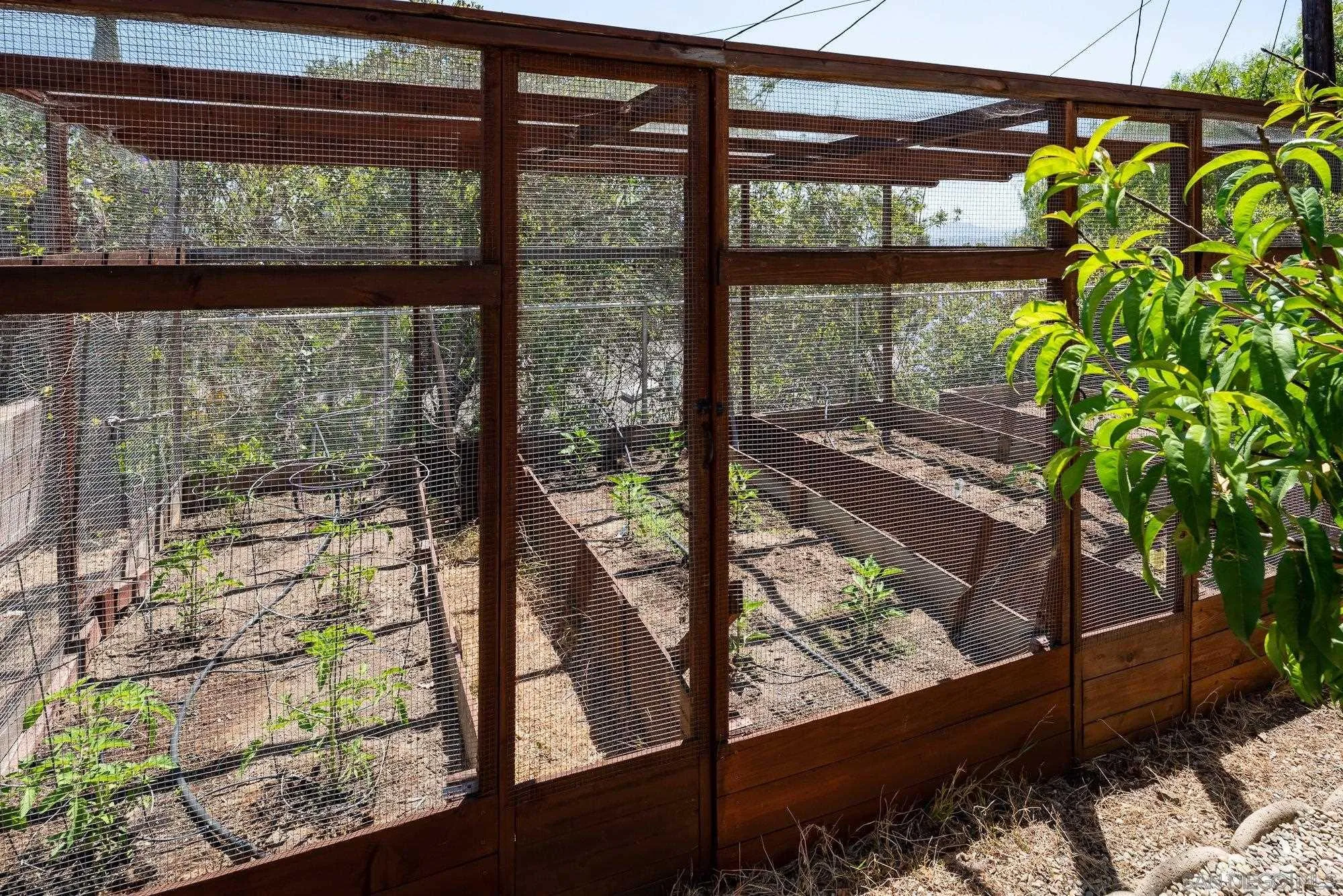4361 Valle Drive La Mesa, CA 91941 - Photo 51 of 67 a view of a yard from a balcony
