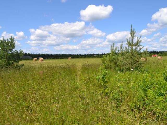On Emils Way Rhinelander, WI 54501 - Photo 17 of 17 Gallery Image 17